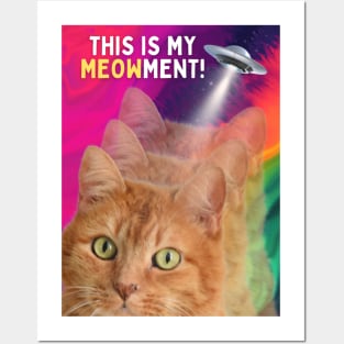 This is My Meowment Posters and Art